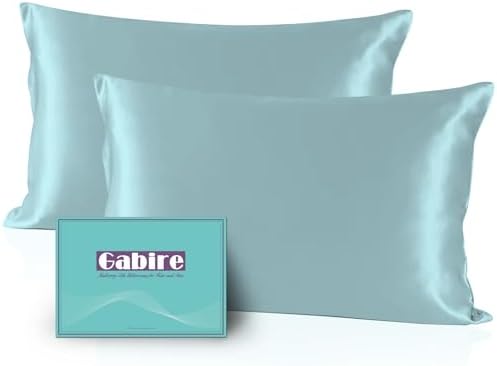 Gabire Mulberry Silk Pillow Cases Set of 2, Both Sides Real Silk Pillow Cover for Hair and Skin Cool Pillowcase Organic Silk Pillowcase 2 Pack with Hidden Zipper, Haze Blue, Queen (20"×30") by MulberrySilkPillowcases