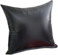 BECKCOVERWaterproof Pillow Protector with Zipper Enclosure,PU Material,Soft,Stain-Resistan,Pet-Proof,Square Pillow Cover,2-Pack (Euro(26"*26"), Black) by BECKCOVER