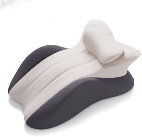 Ergonomic Contour Memory Foam Back Support Pillow for Reading&Bed Rest,Lumbar Support Pillow for Bed,Neck Support Pillow,Comfort Daily Relax Cushion (Dual Grey + Pillow, 22.83 × 14.96 × 9.06 inches) by YZMMOONS