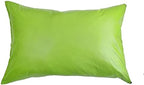 2pcs PU Waterproof Pillowcases with Zipper Pillow Protectors, Dust Proof, Grease Proof, Dog Proof, Extends Pillow Life, Utility Patent Pillow Covers, Beddings (Queen(20"*30"), Apple Green) by BECKCOVER