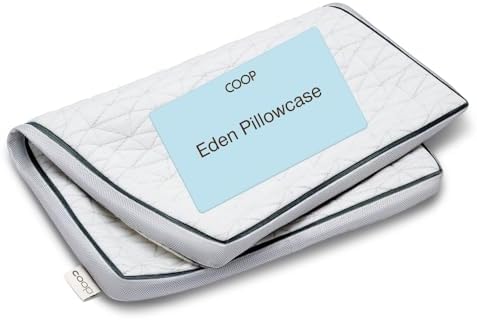 Coop Home Goods Eden Cool Pillow Cover, Queen Pillowcase for Memory Foam Pillows, Breathable Ultra Soft Fabric Covers with 2-inch Gusset by CoopSleepGoods