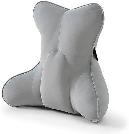 Lumbar Back Pillow (Pat. Pend), Supportive Back Cushion for Bed, Couch & Recliner, Ergonomic Lumbar Pillow with Customizable Firmness for Lower Back Pain Relief, Zinc Gray by Ailuteie