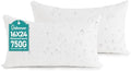 Oubonun Waterproof Outdoor Lumbar Pillow Inserts 16 x 24 Set of 2 by Oubonun