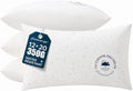 Phantoscope 12x20 Outdoor Pillow Inserts, Waterproof Lumbar Pillows 4-Pack by Phantoscope