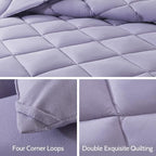 Decroom Lightweight 3 Pieces Comforter Set Queen Quilted Duvet Insert - Image 4