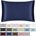 100% Mulberry Silk Pillowcase for Hair and Skin,Both Sides Natural Silk Bed Pillow Case with Hidden Zipper,19 Momme Grade 6A,1pc,Navy Blue,Standard Size 20x26 Inches by SILKTALE