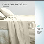Pizuna Pure 100% Cotton Queen Flat Sheet 600 Thread Count New Ivory - Image 3