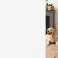 HIDBEA Frosted Window Privacy Film, Frosted White, 35.4 x 393.7 Inch by HIDBEAWindowFilm