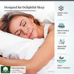 Pizuna Pure 100% Cotton Queen Flat Sheet 600 Thread Count New Ivory - Image 2