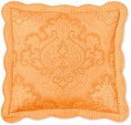 BrylaneHome Amelia Euro Sham - Image 4