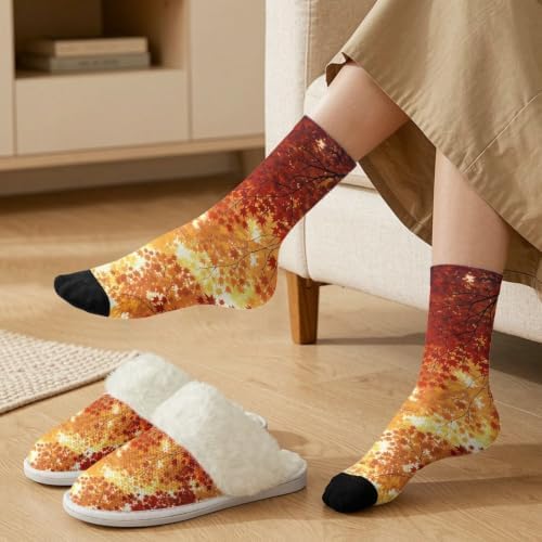 Fuzzy Slippers for Women Washable Cotton Slippers with Crew Socks - Image 3