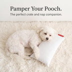 Pipsqueak Travel Pillow - Small, Mini, Tiny - 11 x 7 in, Microfiber - Image 5