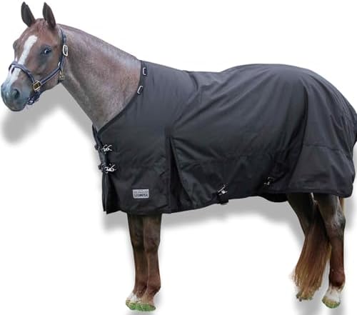 Jeffers 1680D Standard Neck Horse Turnout Blanket, 240G, 78" - Brown by Jeffers