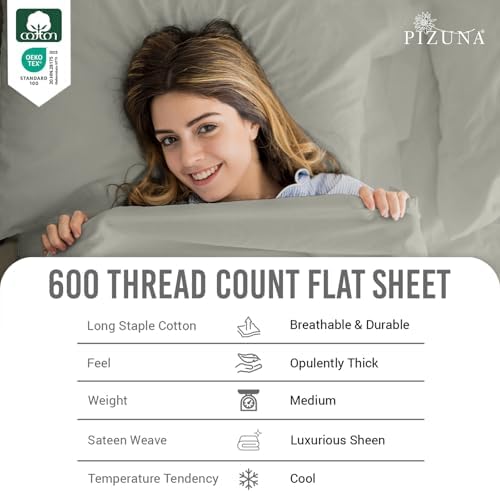 Pizuna 100% Cotton Twin Sheet Set 600 Thread Count Silver - Image 2