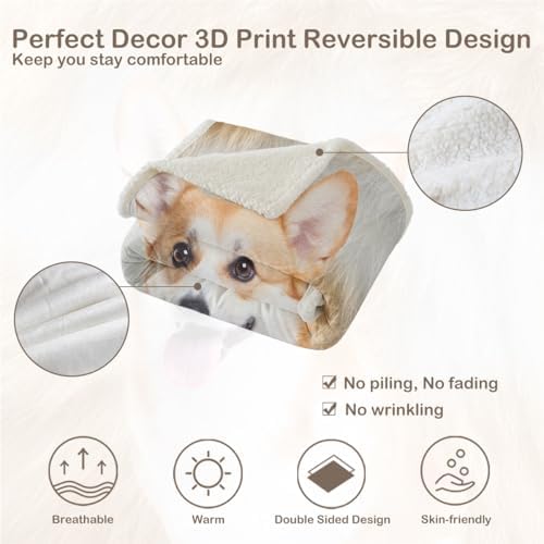 Sleepwish Welsh Corgi Sherpa Blanket Twin 60x80 in - Image 7