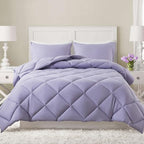 Decroom Lightweight 3 Pieces Comforter Set Queen Quilted Duvet Insert by Decroom