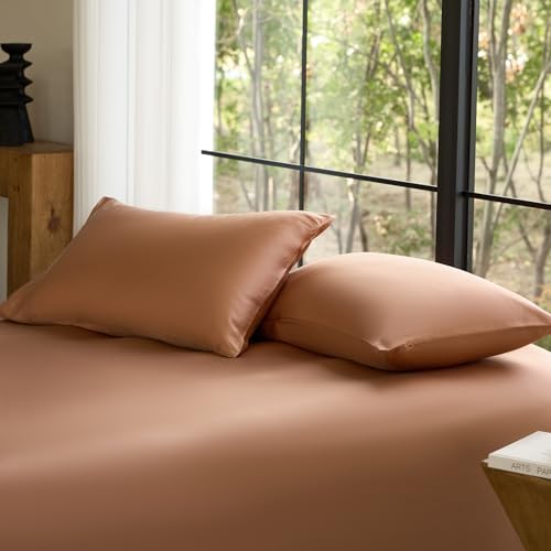 DOZ Pillowcase Set, 100% Viscose derived from Bamboo, Organically Grown, Buttery Soft, Silky, Breathable, Cooling, Oeko-TEX, High GSM, 2-Pack, Envelope Closure (King, Clay) by DOZ
