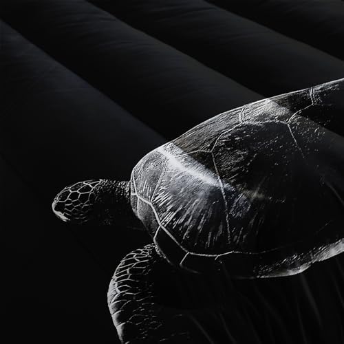 Nttopship Sea Turtle Comforter Set Queen Size, Animal Black Turtle Sea Soft 3 Pcs,Sea Turtle Bedding Set for Kids,Black Night Turtle Themewith 1 Comforter and 2 Pillowcases - Image 4