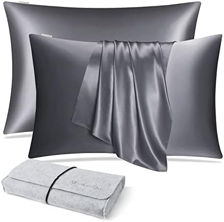 DISANGNI 100% Natural Mulberry Silk Pillow case for Hair and Skin with Hidden Zipper 22 Momme Both Sides Real Silk Pillow Case (2pc Standard Size 20" x26", Dark Gray) by DISANGNI