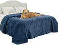 Bedsure Waterproof Bed Cover for Bed and Dogs Quick Drying, 82x102IN by BEDSURE
