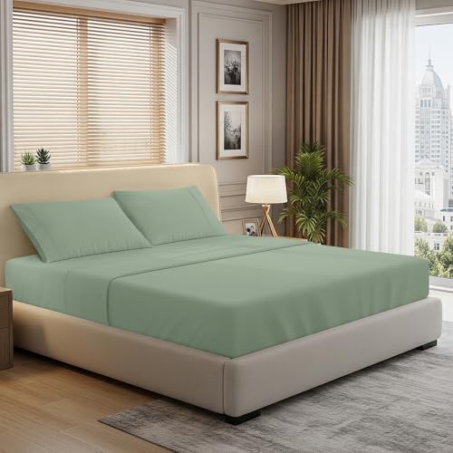 Pizuna 100% Cotton Queen Sheet Set 600 Thread Count Sea Foam by Pizuna
