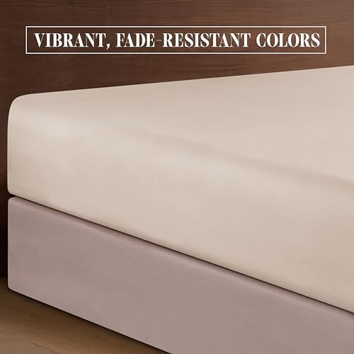 Elegant Comfort Luxurious Soft 1500 Thread Count Egyptian 4-Piece Hotel Quality Wrinkle and Fade Resistant Coziest Bedding Set, Easy All Around Elastic Fitted Sheet, Deep Pocket, Twin/Twin XL, Cream - Image 6