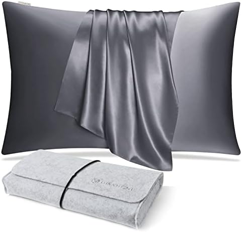 DISANGNI 100% Natural Mulberry Silk Pillow case for Hair and Skin with Hidden Zipper 22 Momme Both Sides Real Silk Pillow Case (1pc Queen Size 20" x30", Dark Gray) by DISANGNI