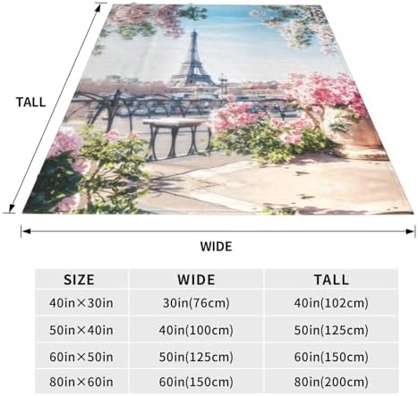 Beautiful Eiffel Tower Paris Print Ultra-Soft Micro Fleece Blanket Ultra-Soft Micro Light Weight Warm Bed Throw Blanket - Image 5