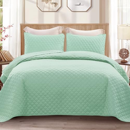 Exclusivo Mezcla Reversible Full Queen Quilt Bedding Set, Light Green by ExclusivoMezcla
