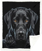 Black Dog Sherpa Blanket Animal Print Throw Blanket for Women and Men Soft Warm Cozy 50x60 Inches Loyal Pet Design Couch Bedroom Decor Gift for Birthday Housewarming Anniversary by Sleepwish