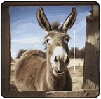Funny Donkey Picnic Blanket 200x200cm, Foldable 2-in-1 Picnic Mat and Tote Bag Portable Waterproof Beach Mat Sandproof Outdoor Blanket for Park, Hiking, Beach, Camping, Travel by Unknown