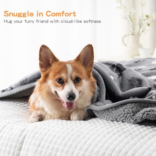 Washable Waterproof Dog Blankets for Large Dogs 60"x80" - Image 5