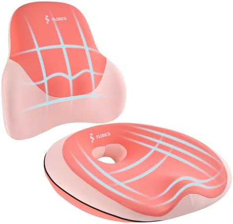 FLORICH Seat Cushion Lumbar Support Pillow for Office Chair, Car Lower Back Support, Ergonomic Desk Chair Pillow for Butt and Back Support of Memory Foam Seat Pad(Blue Pink) by FLORICH