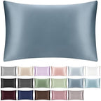 100% Mulberry Silk Pillowcase with Hidden Zipper,Both Sides Pure Silk Breathable Pillow Case for Hair and Skin,19 Momme Grade 6A,1pc,Ash Blue,Queen Size 20x30 Inches by SILKTALE