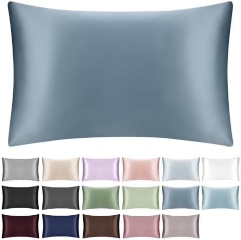 100% Mulberry Silk Pillowcase with Hidden Zipper,Both Sides Pure Silk Breathable Pillow Case for Hair and Skin,19 Momme Grade 6A,1pc,Ash Blue,Queen Size 20x30 Inches by SILKTALE