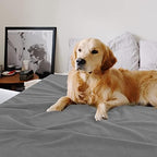 Fleece Throw Blankets Bulk Fleece Blankets Solid Wholesale Lightweight Warm Soft for Pet Bed Sofa Couch Office Wedding Gifts Travel Seasons (Grey, Pack of 6-50x60 Inches) - Image 6