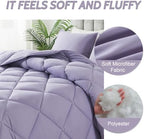 Decroom Lightweight 3 Pieces Comforter Set Queen Quilted Duvet Insert - Image 3