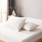 Bella Coterie | Luxury Bamboo Viscose Queen Size Pillowcase Set by BC