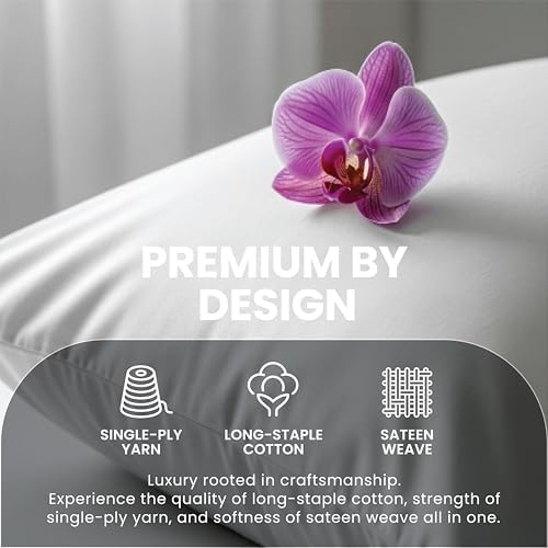 Pizuna 100% Cotton King with Four Cases Sheet Set 600 Thread Count Silver - Image 3