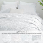 Whale Flotilla Soft Queen Quilt Bedding Set 3-Pieces Lightweight Bedspread - Image 5