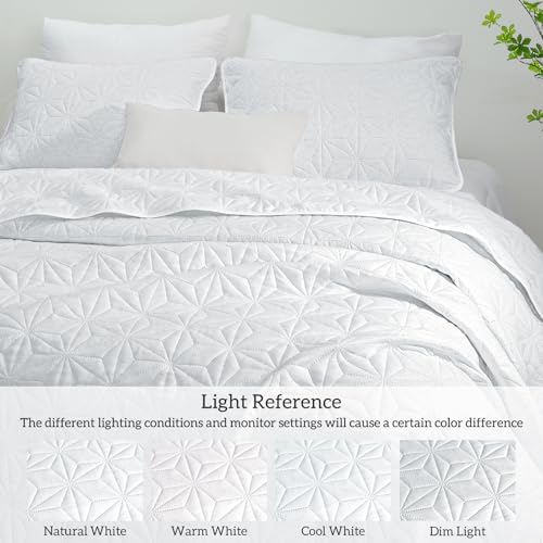 Whale Flotilla Soft Queen Quilt Bedding Set 3-Pieces Lightweight Bedspread - Image 5