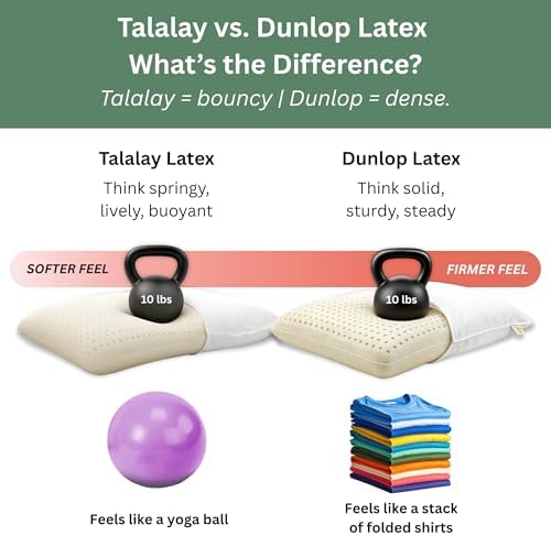 ORGANIC TEXTILES 100% Talalay Latex Bed Pillow with GOTS Certified Organic Cotton Cover (Queen Size - Soft) - Pack of 2 - Image 5