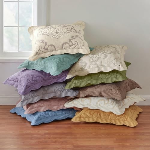 BrylaneHome Amelia Euro Sham - Image 2