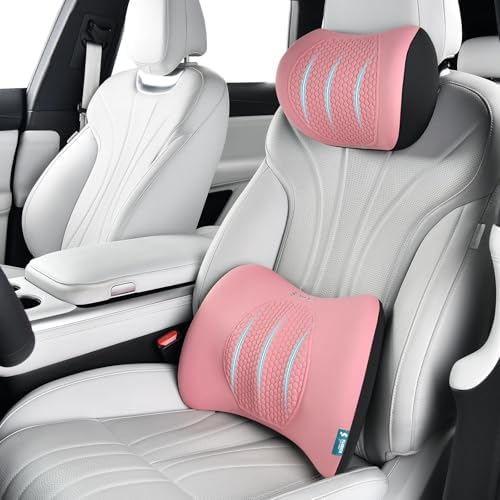FLORICH Lumbar Support with Car headrest Back Pillow for Chair Headrest Pillow with Gel Memory Foam Massage Point Memory Foam Back Pillow for Office Chair(Dark Pink) by FLORICH