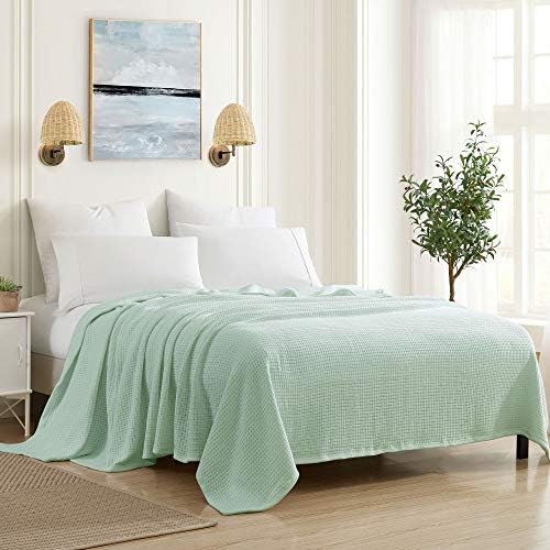 Sweet Home Collection 100% Fine Cotton Blanket Luxurious Weave Stylish Design Soft and Comfortable All Season Warmth, King, Mint by SweetHomeCollection