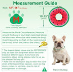 Dog Cone, No-Inflation Sponge Donut Collar for Dogs After Surgery - Image 5