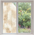 Window Privacy Film Frosted, Brown Botanical Non-Adhesive Static Cling Window Tint, Summer Palm Leaves Foliage Tropical Insulated Windows Frosted Films for Living Room, 35.4 x 78.7 Inches by Unknown
