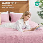 Love's cabin King Size Quilt Set Pink Bedspreads - Soft Bed Summer Lightweight Bedspread Comforter - Modern Style Coin Pattern Coverlet for All Season - 3 Pieces (1 Quilt, 2 Pillow Shams) - Image 4