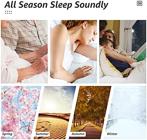 HYLEORY All Season Queen Size Bed Comforter - Cooling Goose Down Alternative Quilted Duvet Insert with Corner Tabs - Winter Warm - Machine Washable - Purple - Image 6