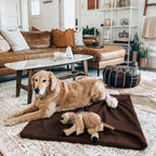 Fleece Throw Blankets Bulk Fleece Blankets Solid Wholesale Lightweight Warm Soft for Pet Bed Sofa Couch Office Wedding Gifts Travel Seasons 50x60 Inches Pack of 6 Chocolate Brown - Image 4